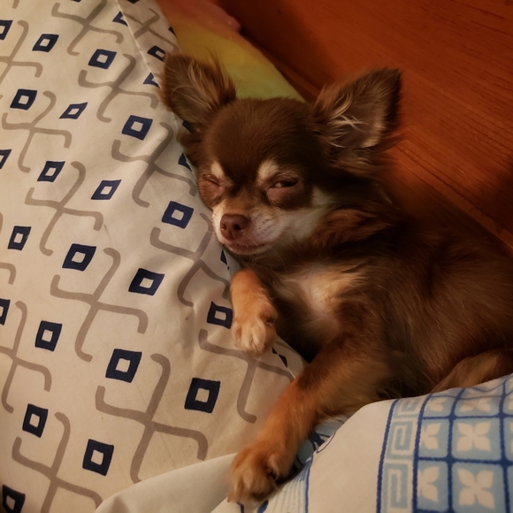 Meet your Posher, Cherie - Picture 3 of 5